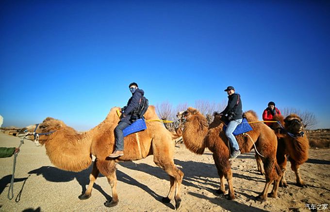 银川到沙坡头旅游攻略，滑沙与骑骆驼体验让我眼前一亮