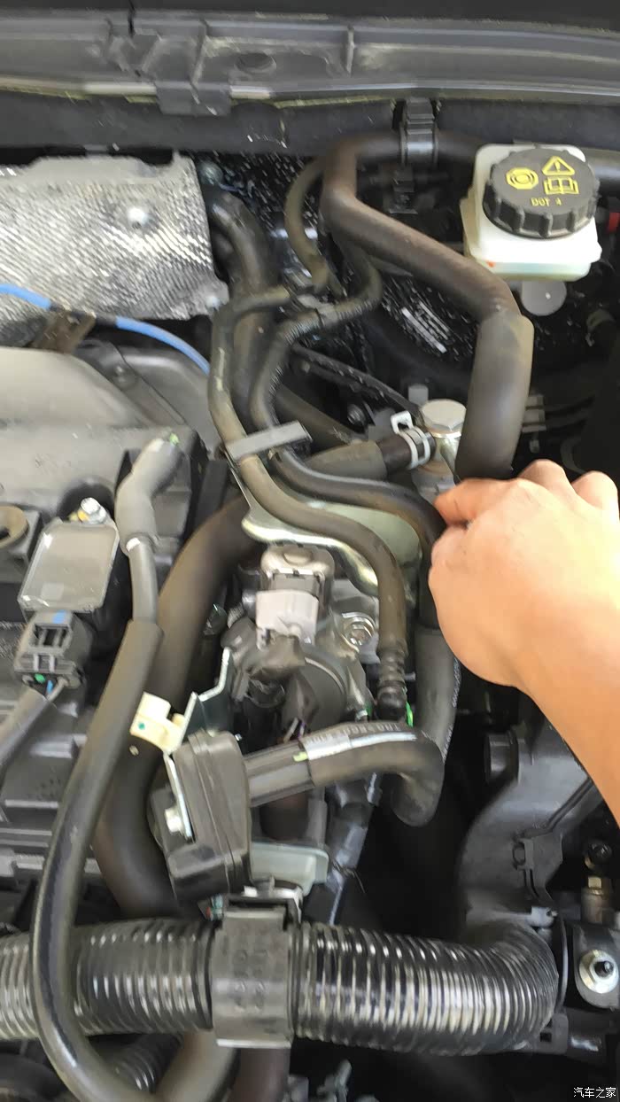 【图】昂克赛拉发动机橡胶管老化，你们也出现这问题了吗?_马自达3 Axela昂克赛拉论坛_汽车之家论坛
