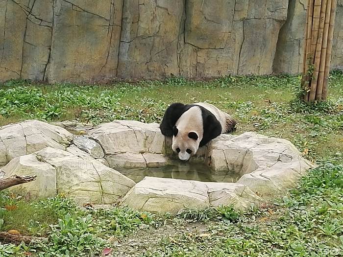 周末亲子,野生动物园一日游