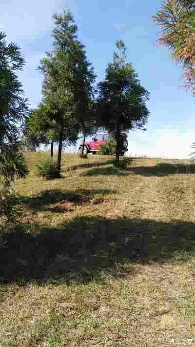 小城市---牧马人的悲催之地_牧马人论坛_手机