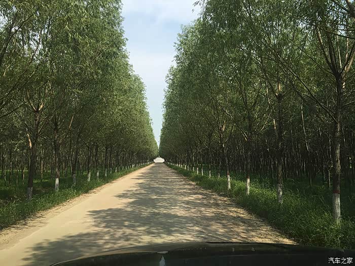 【图】JEER|潍坊车友大切诺基 泥坑初体验_大