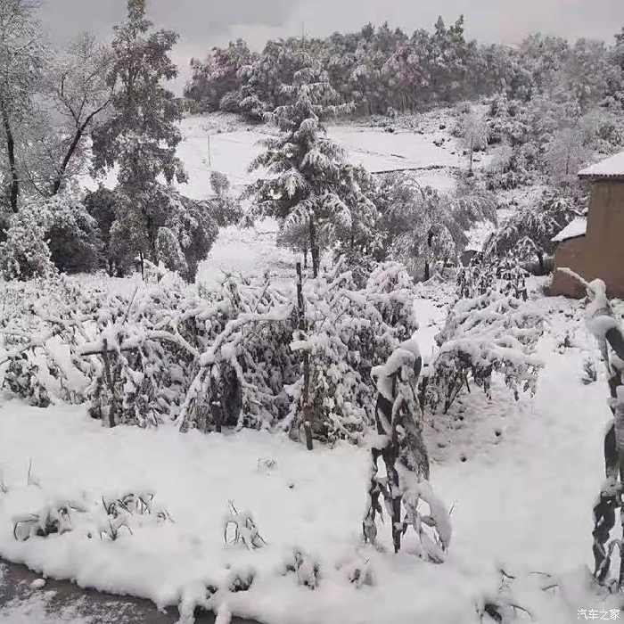 甘肃池坝雪景