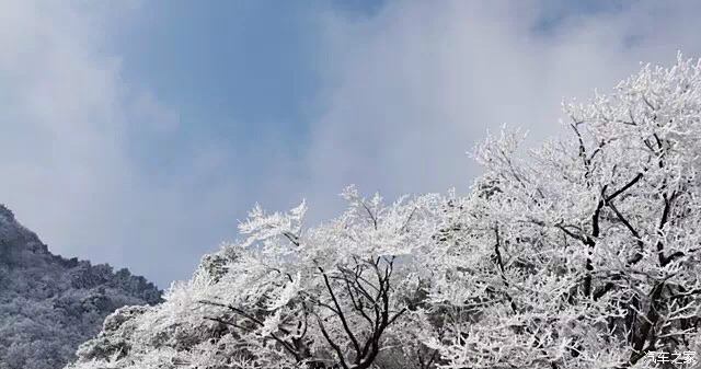 粉妆玉砌的世界,冬季雪景分享