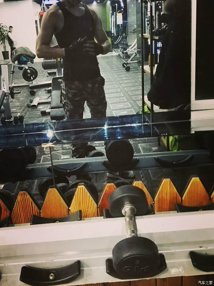 【图】健身房坚持练了一年半