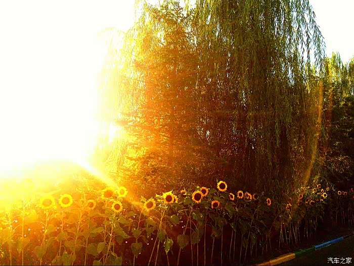 【图】沈阳方特夜场游--出去玩不比较不计较是