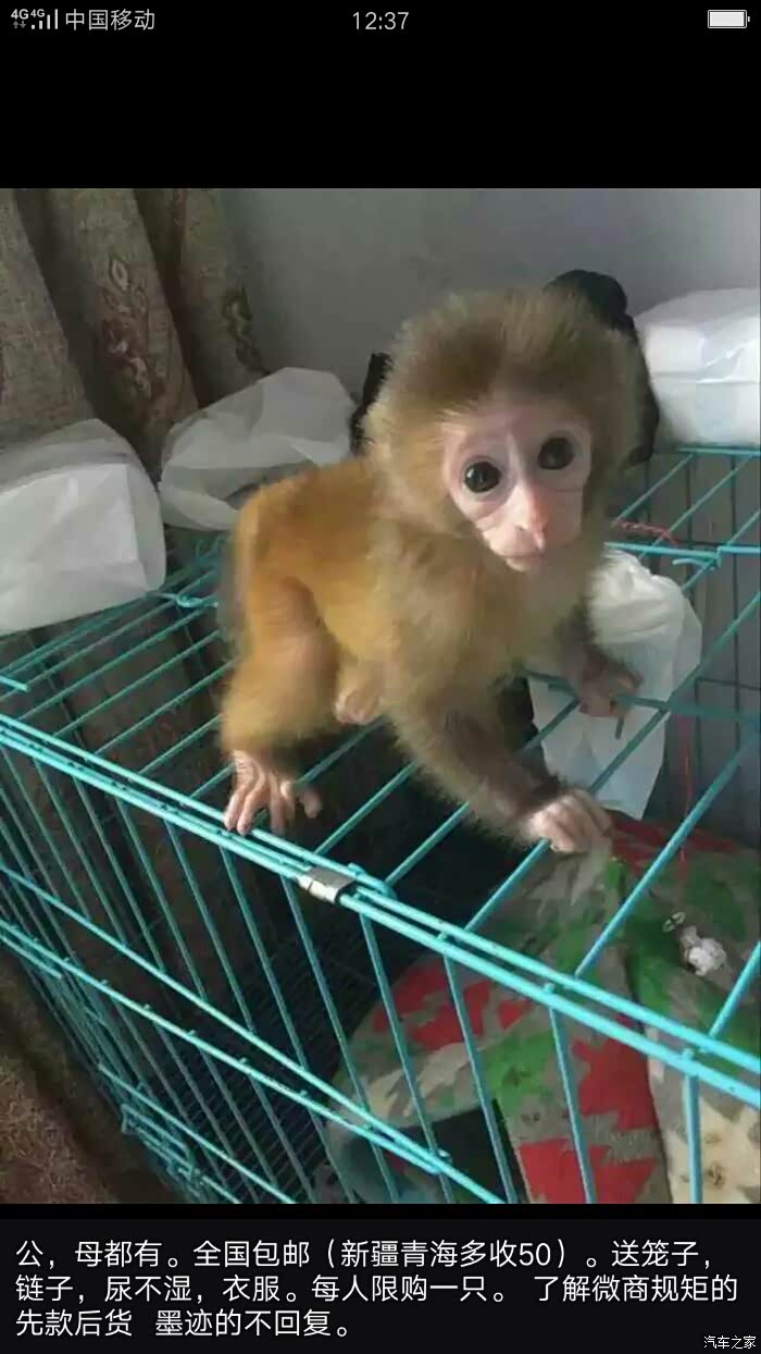 【图】这个是个大骗子!大家不要相信他!_奔驰