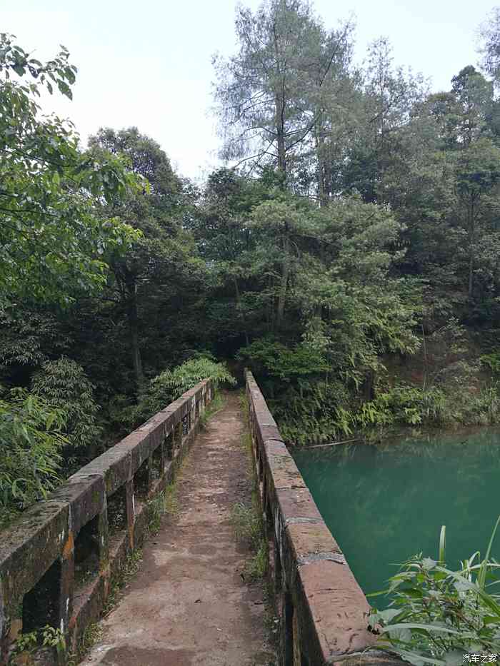 重庆江津大圆洞国家森林公园