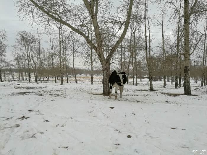【图】冬季自驾游线路_标致408论坛