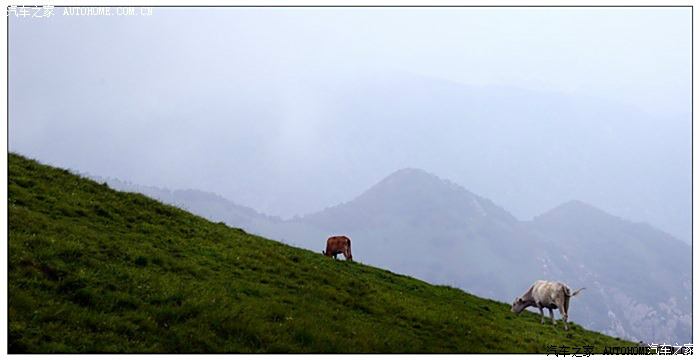 草沟堡乡陶家小庄本村人口