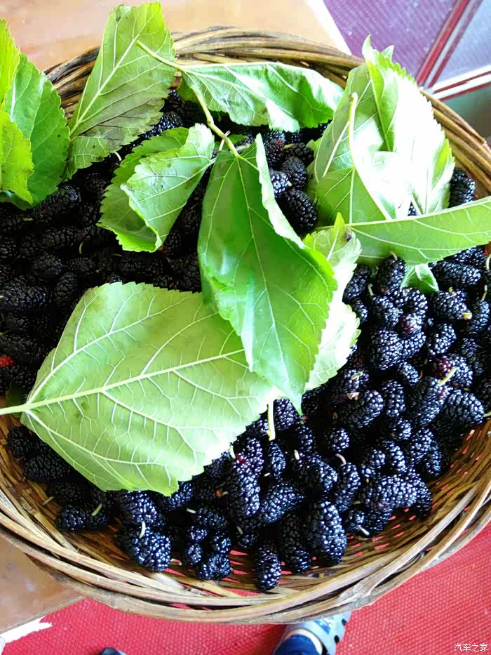 【图】五一出去玩都是说说的_奔腾B70论坛_汽