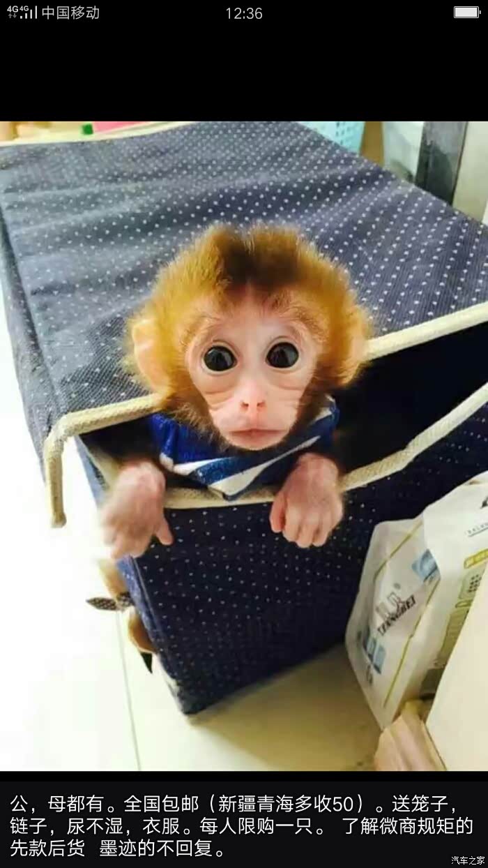 【图】这个是个大骗子!大家不要相信他!_奔驰