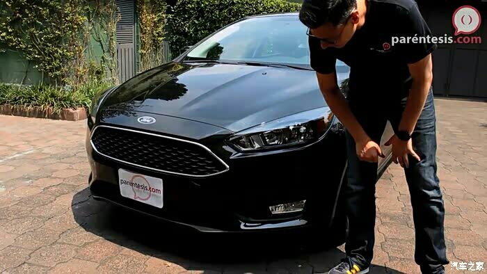 【图】黑色福克斯图片终于找到了!