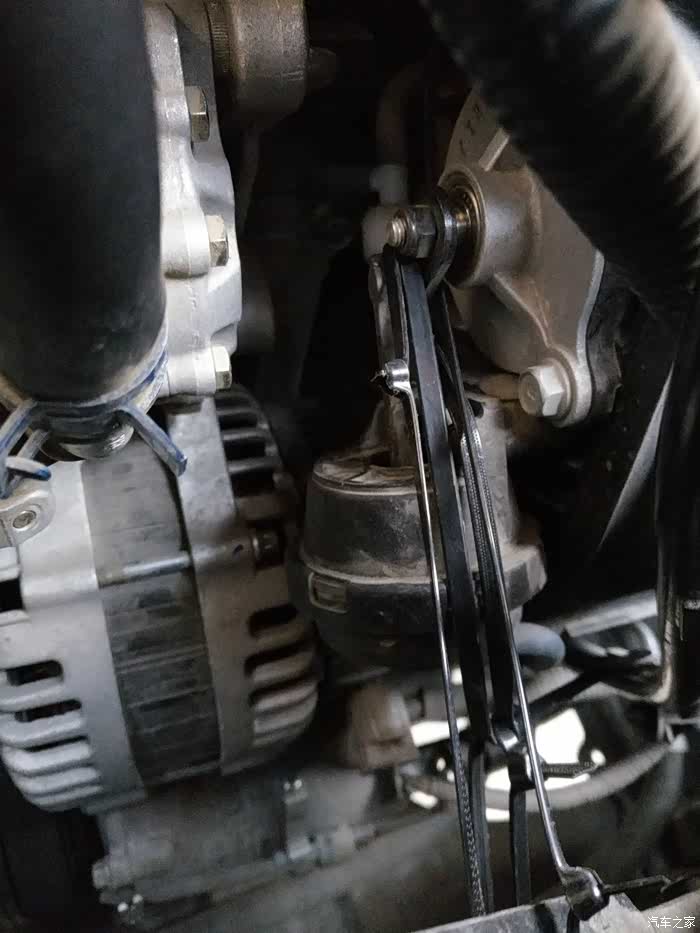 【图】勒死狗完成上个照片!顺带泳装福利照片