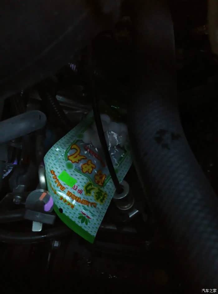 【图】老鼠来袭,防虫丸抵抗!_广东论坛_汽车之