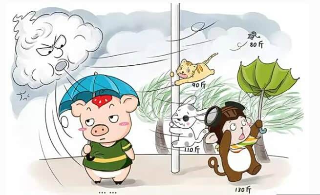 【图】台风天、暴雨天过后,汽车保养问题不容