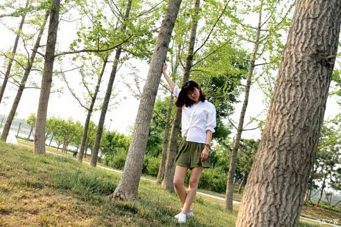 终圆梦 28t大越越联合女神魅力出演_湖南论坛