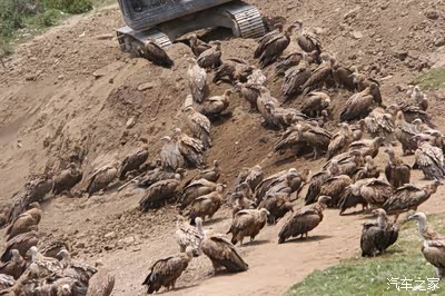 西安--色达 8日自驾之感受与攻略(多图)