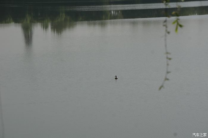 【图】灞桥湿地公园一日游记_长安CS55论坛
