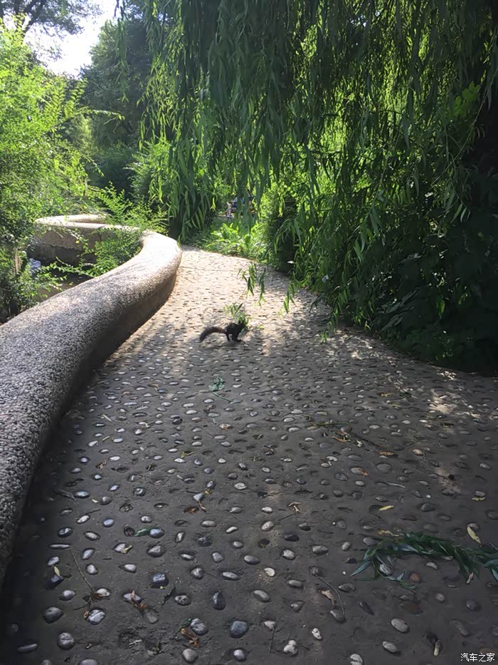 【图】提问:交警队事故科管不管狗?