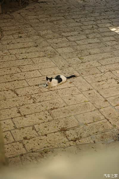 9月中旬自驾以色列 后到约旦 迪拜游