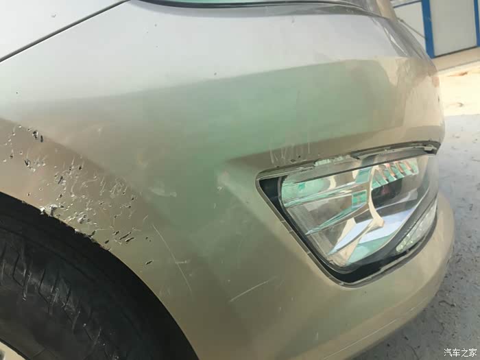 【图】晕了,车被狗咬了,能报保险吗?