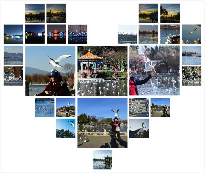 海鸥彩云飞简谱_海鸥飞处彩云飞(2)