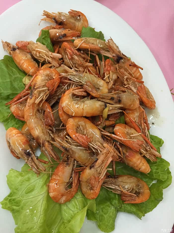 【图】群众喜闻乐见的图片…_上海论坛_汽车