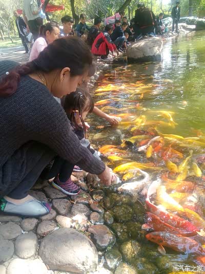 全国首提百万纪念版瑞虎3山东烟台招远千里提