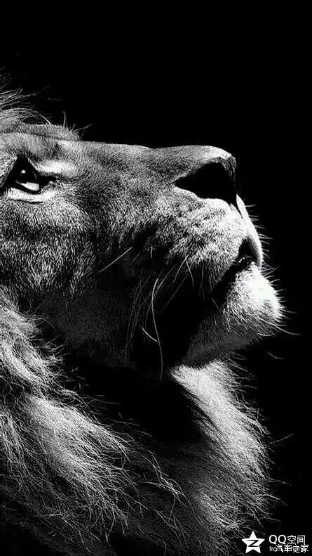 【图】外国车提速几秒内我们都说很牛,国内车