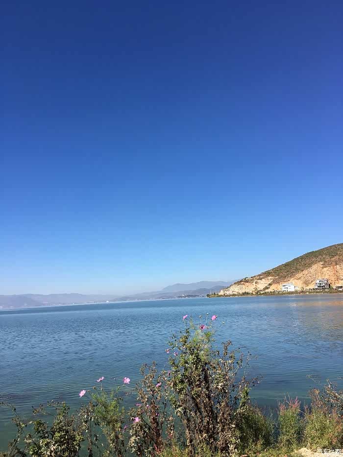 曾梦想仗剑走天涯,看一看世界的繁华!记我和花