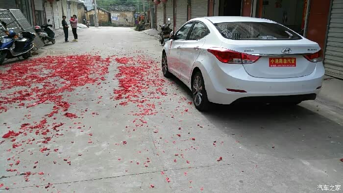 【图】致陪伴一年的小狼(高清大片)_朗动论坛