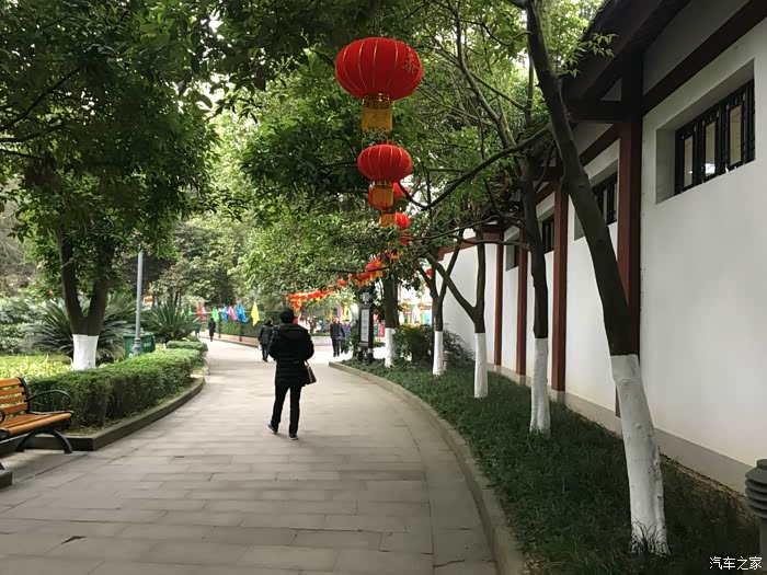 感受中国书画艺术的熏陶--观南充市迎新春八人