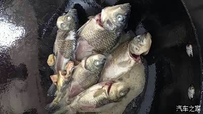 媳妇自己在家没事也在钓鱼玩