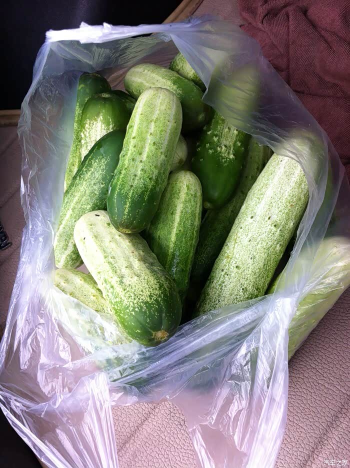 【图】成都周边耍水网虾的好地方._四川论坛_