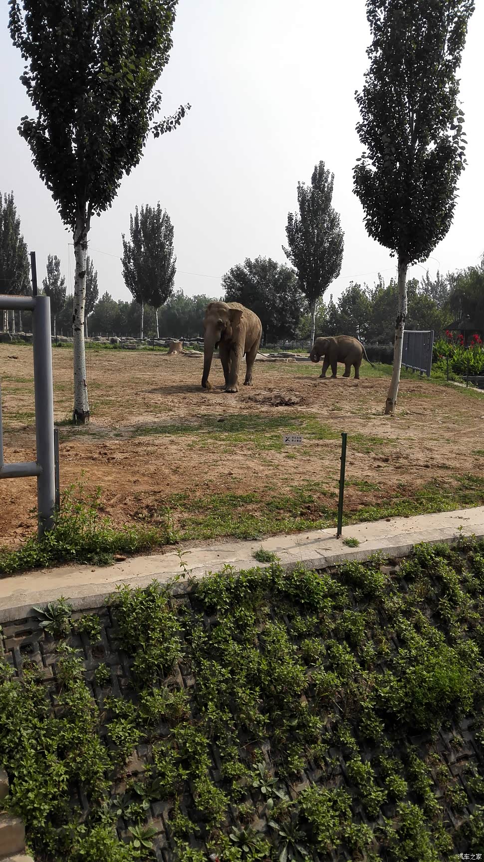 国庆逛石家庄动物园