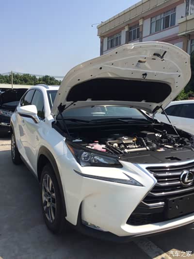 今天上牌 选了个NX200号码 怎么样_雷克萨斯