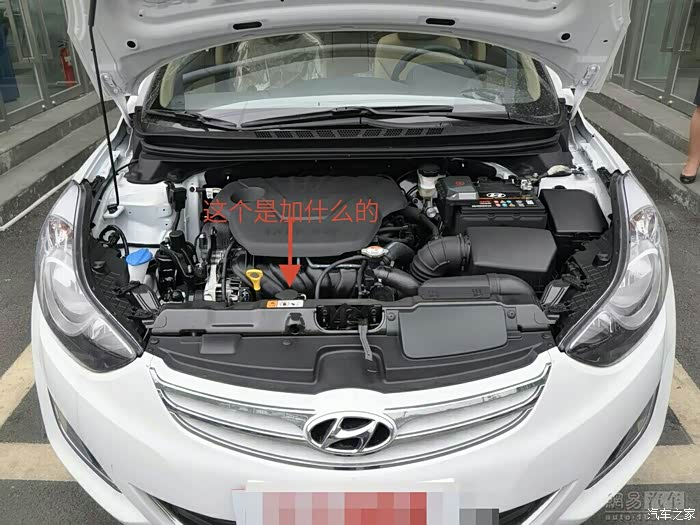 【图】求爷爷告奶奶!加急!