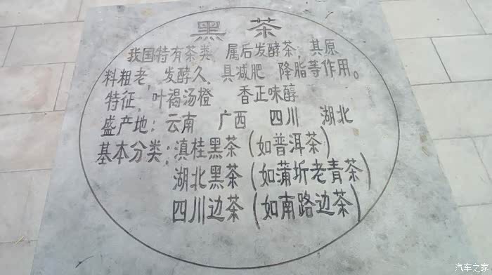 茶汤简谱_白茶茶汤图片