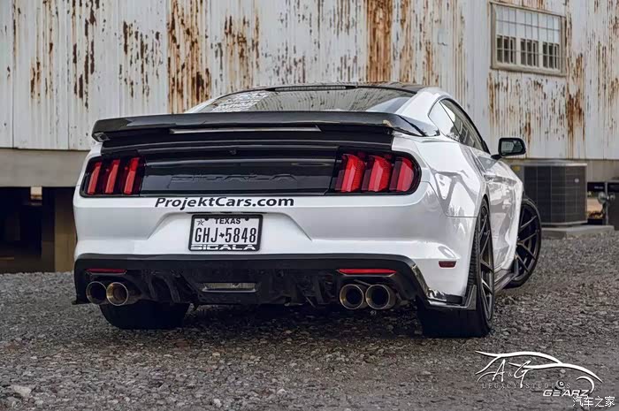 【图】VORSTEINER VFF101 20吋呔铃上身野