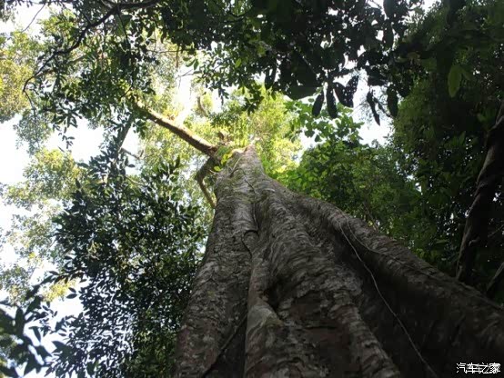 此爱隔山海,山海不可平--驾驶小7沧海洱海见证