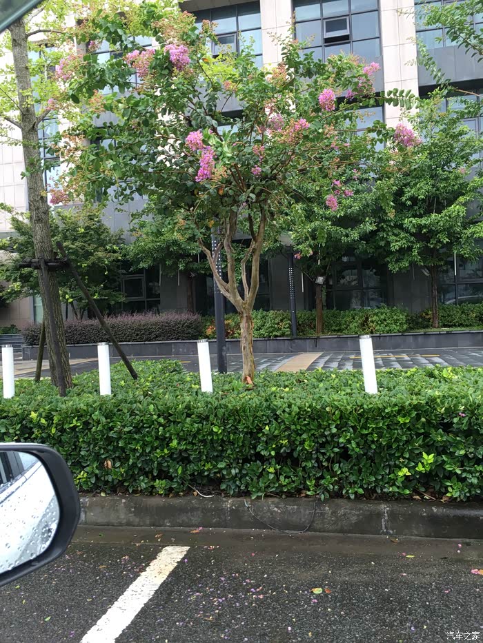 【图】初秋游水,别有一番滋味上心头!_瑞风S3