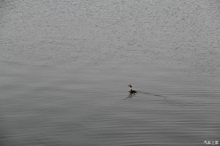 什么时候天气能真正热起来 500_wKjBxldbc32AWu4GAAfz5xpm3oI111.jpg