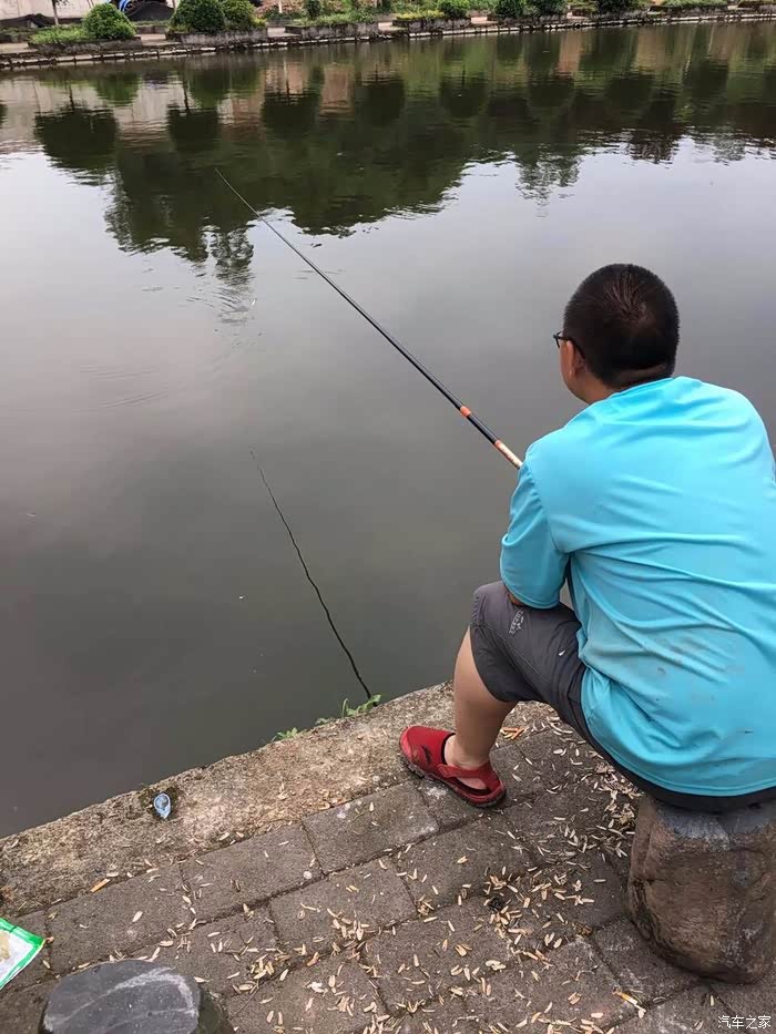 三天打鱼两天晒网之弄鱼也是一种毒。