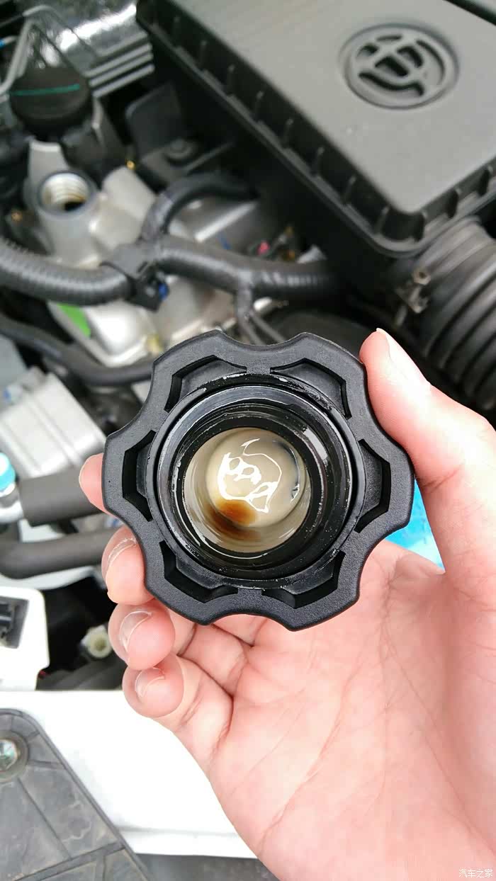 【图】乳乳更健康_中华V3论坛_汽车之家论坛