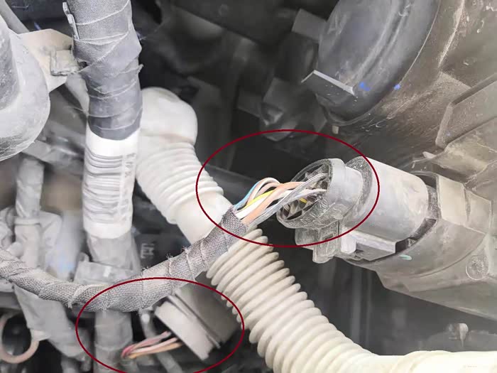 XKTY.COM星空体育-全球与中国汽车发动机线束市场规模及份额占比分析