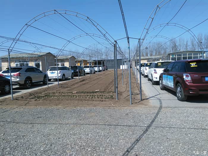 【图】如何让有意义的植树活动更有意义一些(