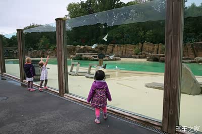 英国的暑期假日--深蓝逍客的利物浦,黑潭之行