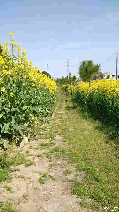 终于等到你,宏光注册滴滴快车成功!