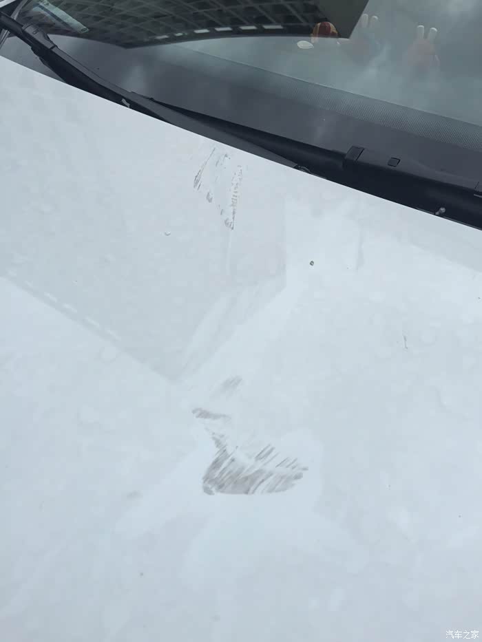 【图】因为刮台风一血,伤心