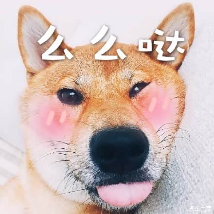 【图】请教下车友们,关于铂青铜跟酷感灰_RA